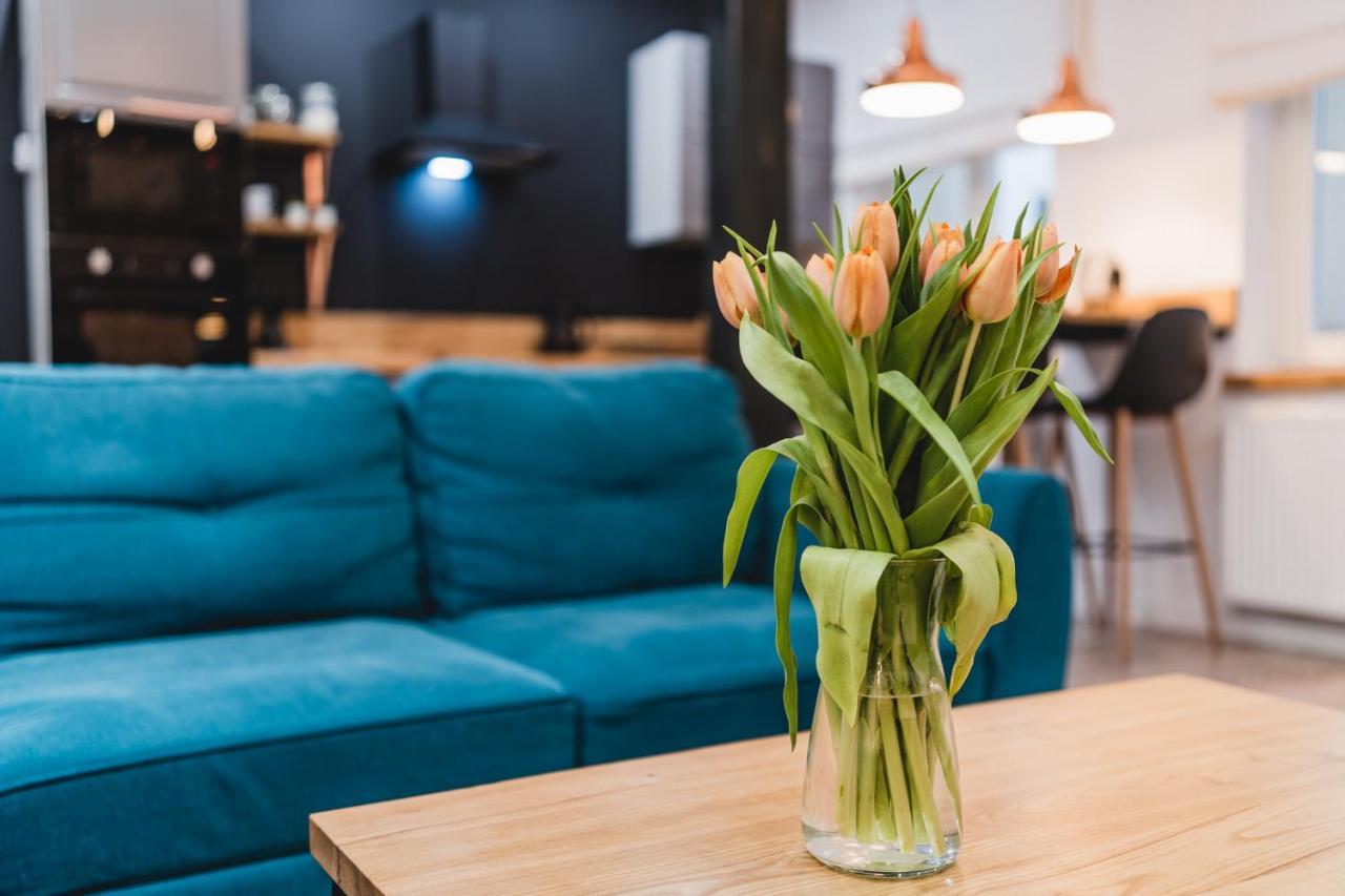 Modern Apartments Torun 2 Stare Miasto-Centrum Εξωτερικό φωτογραφία